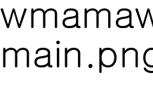 ̹